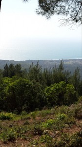 View from Chunuk Bair across the gullies towards the landing beaches in the distance