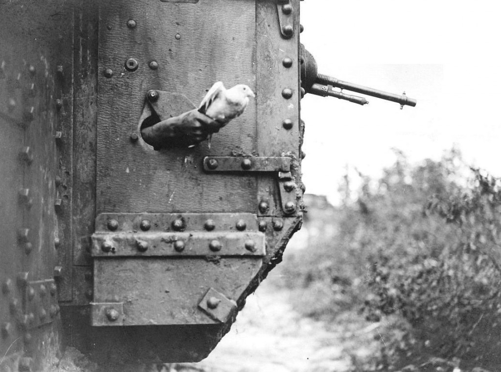 A pigeon being released from a port-hole in the side of a tank, near Albert in August 1918. IWM Q9247.