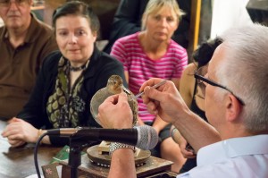 Art and Science of Taxidermy