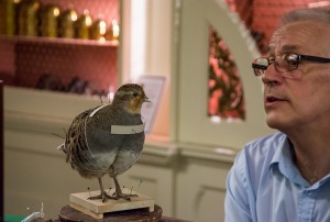 Partridge and Derek Frampton