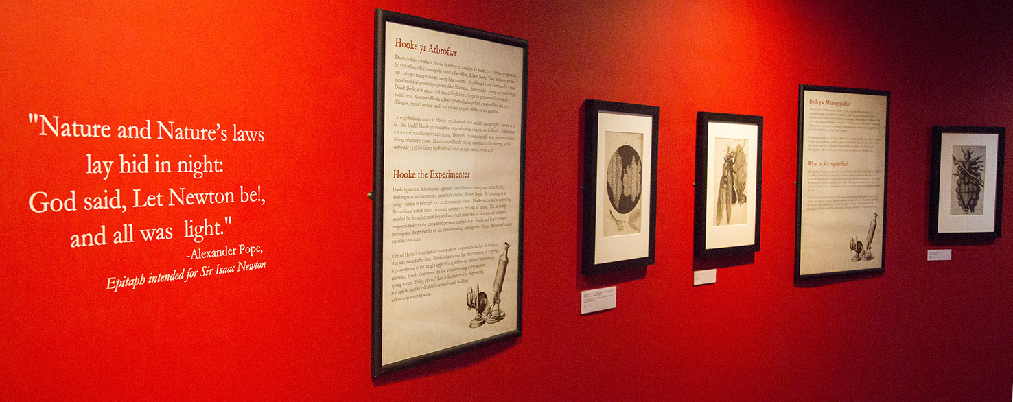 A stretch of red wall in the exhibition with a quote on the far left, and then a a number of frames containing exhibition text and images from Hooke's Micrographia.