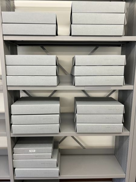 Professor Dame Sarah Gilbert has kindly donated the first part of her archive to the project. The files are currently being processed by Project Archivist, Michaela Garland, at the Bodleian Library